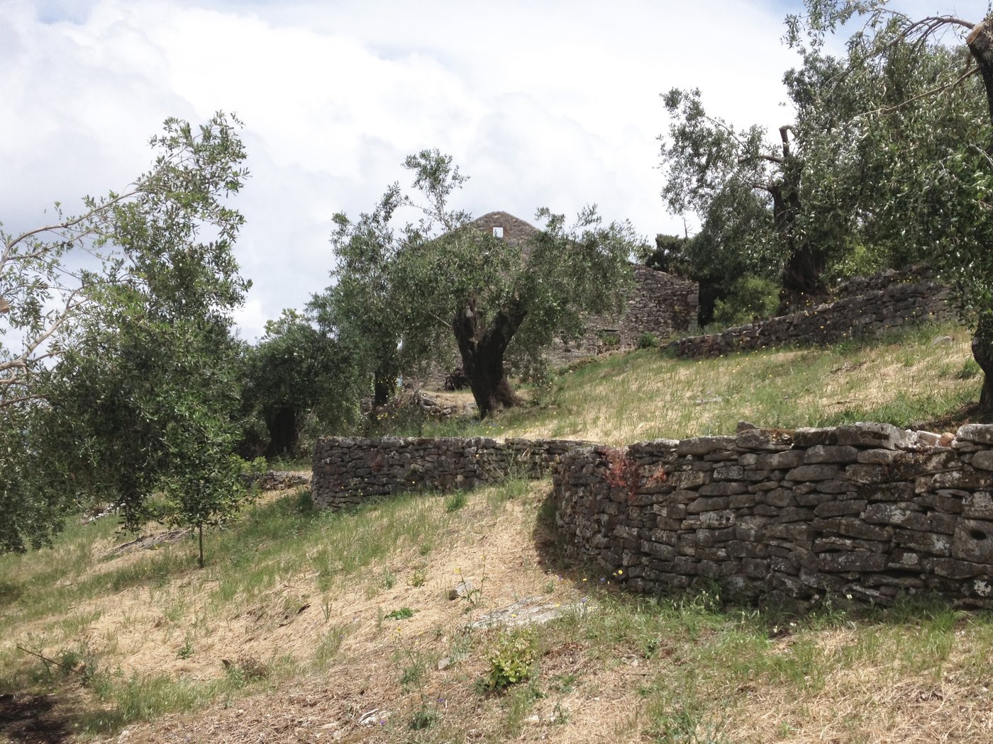 Kassiopi Site